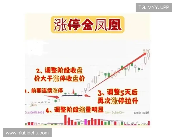 一分快三开奖结果走势图分析，结合走势图提升投注策略实现稳健盈利
