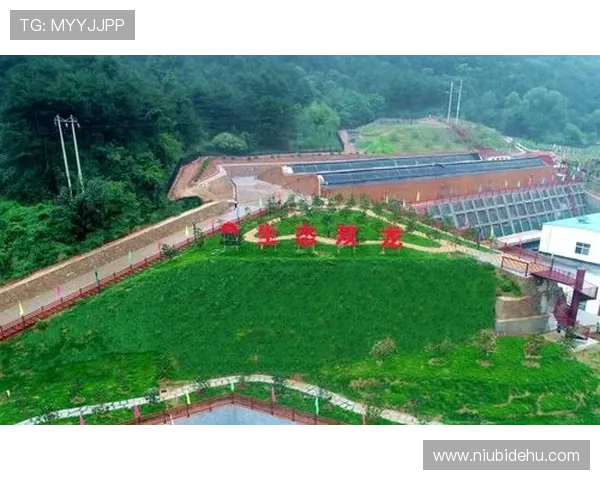 凯发网娱乐官网集团携手多方合作共建安全绿色的网络娱乐生态环境