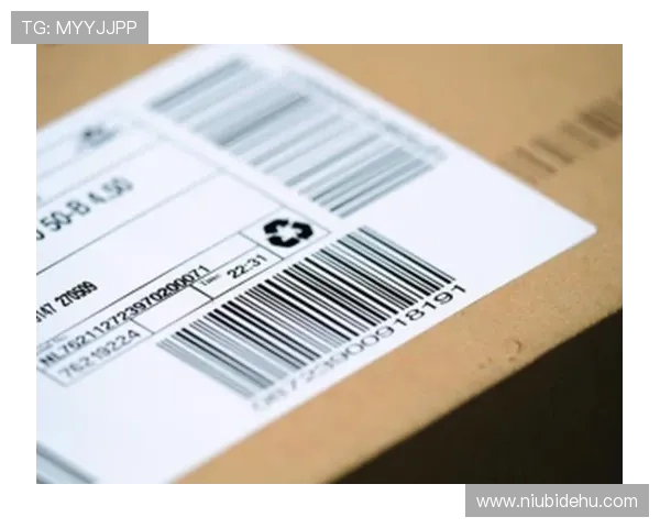 凯发集团官网首页网站用户注册流程及账号安全保障指南